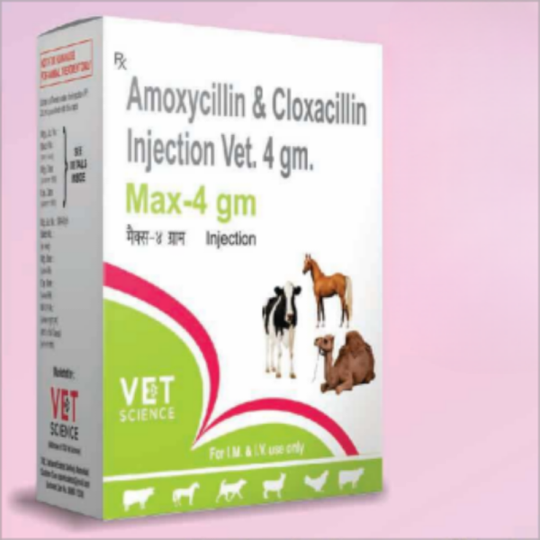 Amoxycillin 2gm+ Cloxacillin 2gm