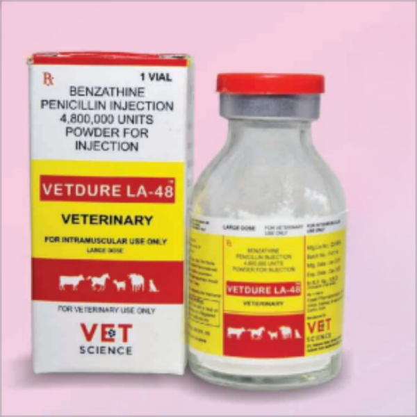 Benzathine Penicilline 48L I.U.