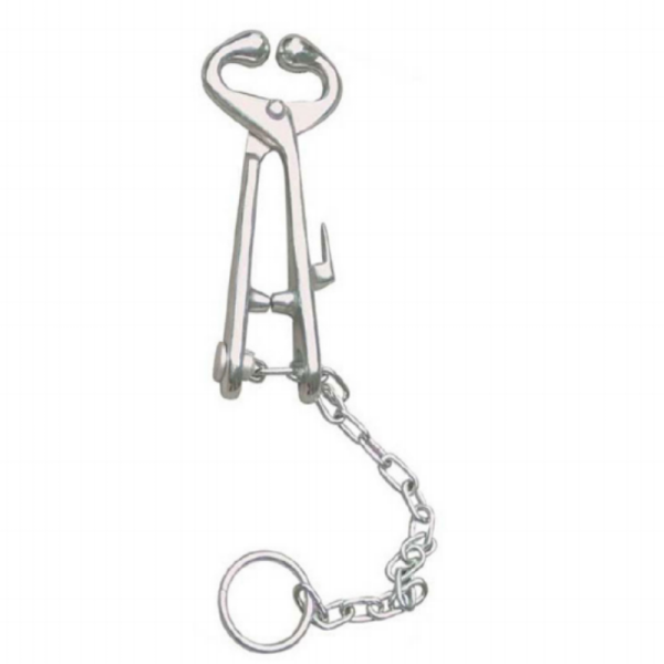 Bull Holder with chain