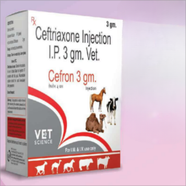 Ceftriazone 3gm