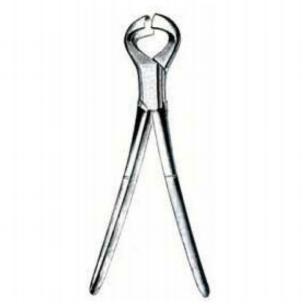 Dehorner for calves (Age: 3-6 M)