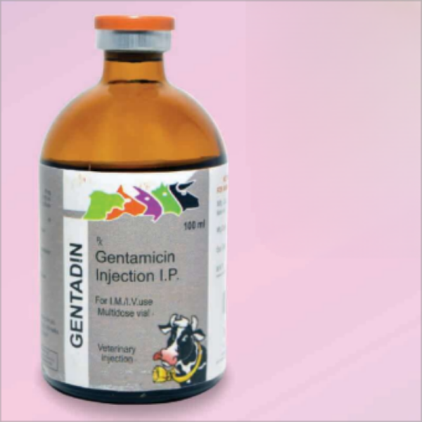 Gentamycin 20mg/ml