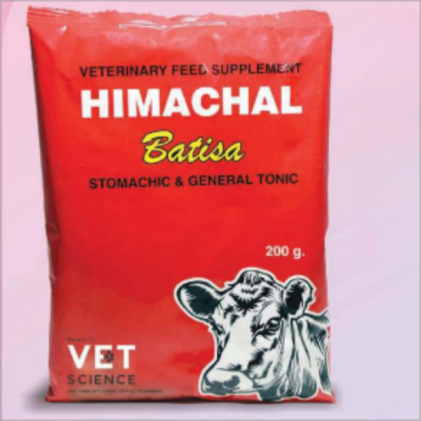 Herbal Digestive Powder and Stomach ache