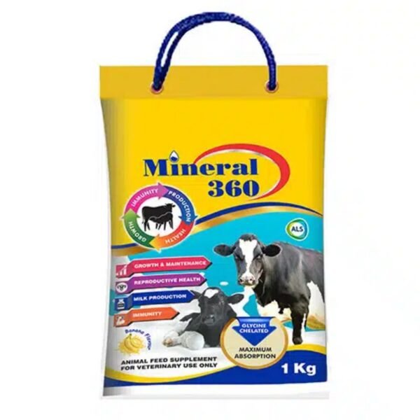 MINERAL 360 Powder