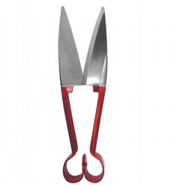 Sheep Shears